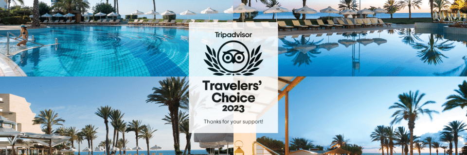 Tripadvisor_Travellers__Choice_2023_-_blog_design