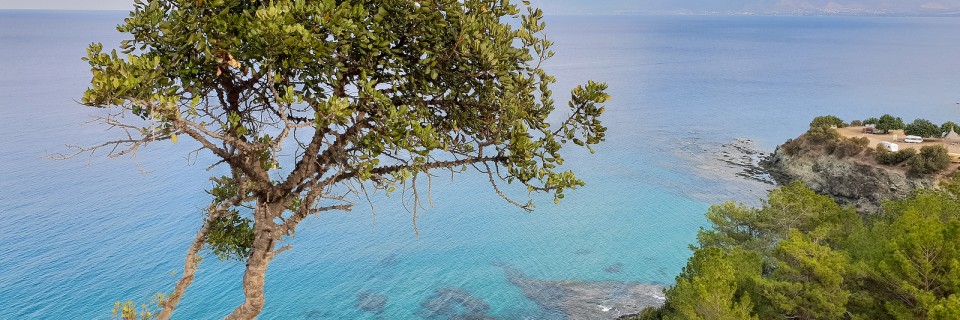 Beautiful View Of A Tree On Cliff Above The Mediterranean Sea As